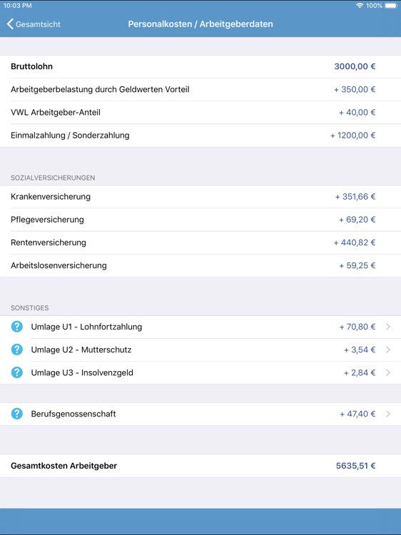 Nettolohn 2020 screenshot-7