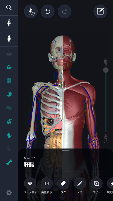 3D人体解剖学 teamLabBody2020 screenshot1