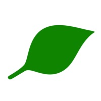 MindLife pour PC