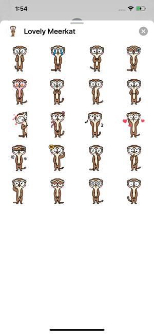 Lovely Meerkat(圖2)-速報App