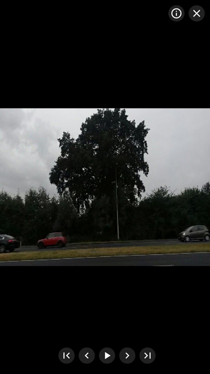 GrowApp screenshot-3