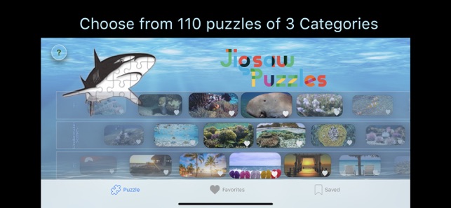 RL Puzzles