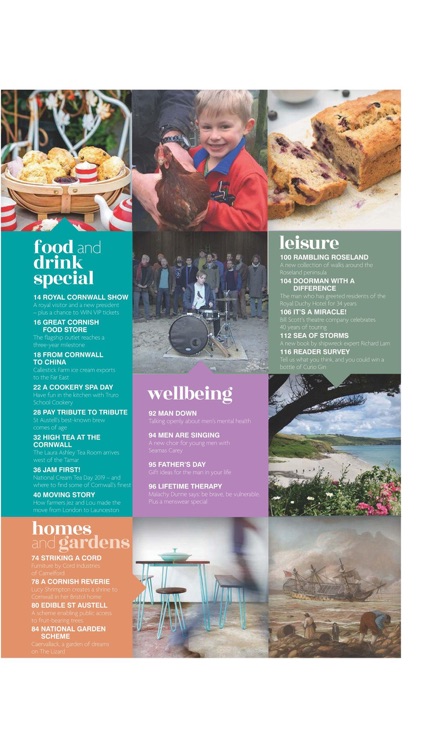 Cornwall Today screenshot-3