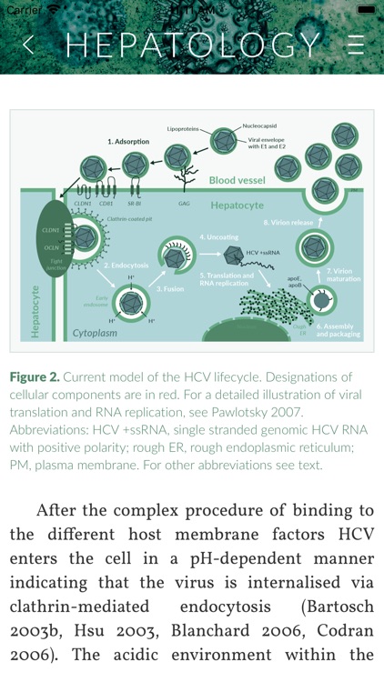 Hepatology 2020 screenshot-8