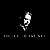 Enescu Experience