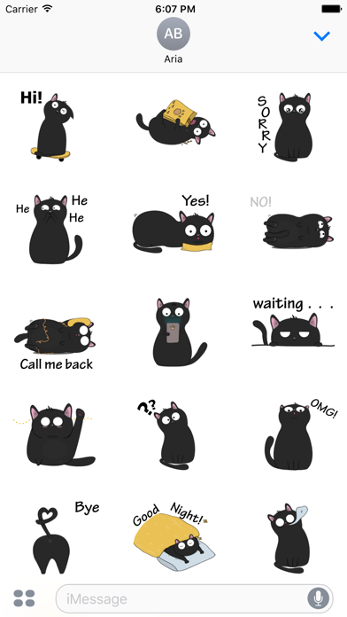 Thirteen The Lovely Black Cat screenshot 2
