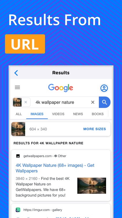 Reverse Image Search - OCR screenshot-3