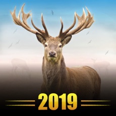 Activities of Deer Hunt Challenge Reloaded