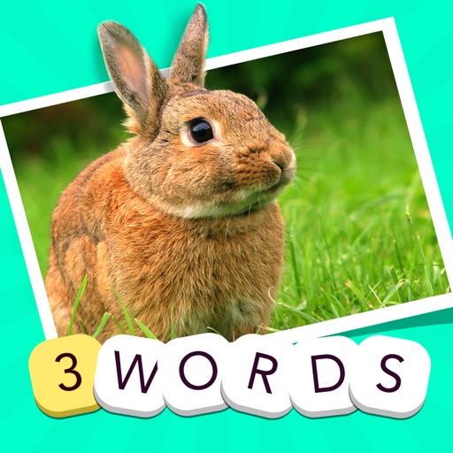 3 Words - find the three secret quiz words in one picture icon