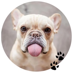 Lovely Bulldogs Sticker Pack