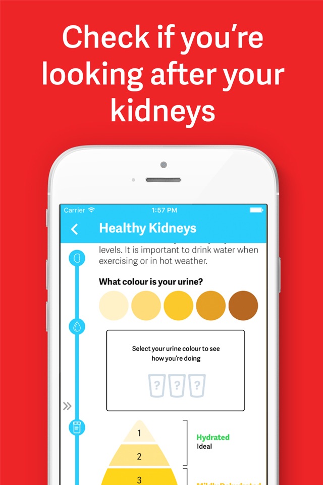 My Kidneys, My Health handbook screenshot 3
