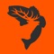 Outdoor Ally brings organized, easy-to-understand hunting regulations to your iPhone