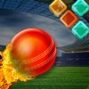 Blocky Cricket - Brick Ball