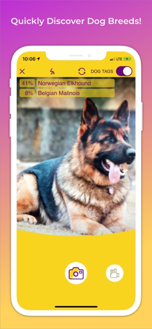 DreamDog: Find Your Dream Dog!(圖4)-速報App