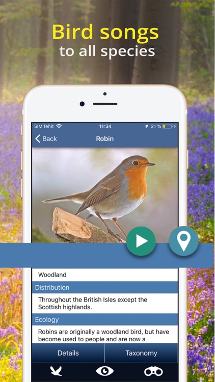 Bird Id - British Isles birds screenshot-4