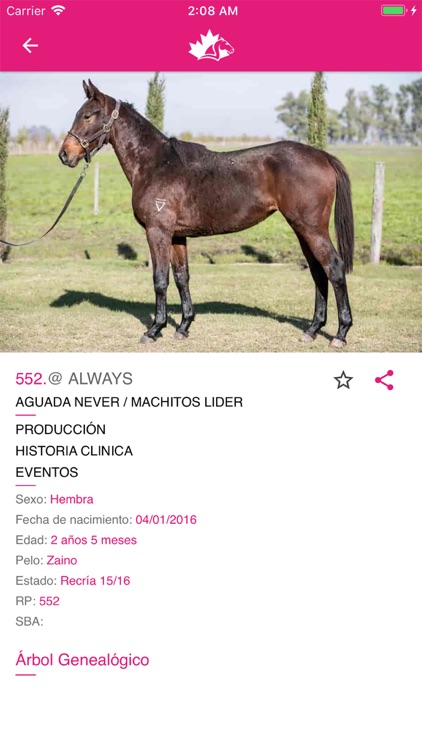 AlegriaPolo