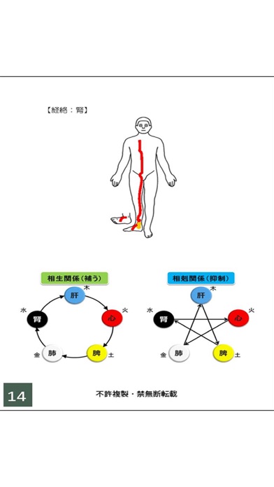 経絡のびのび体操・五臓ラジオ体操【学習キット】のおすすめ画像9