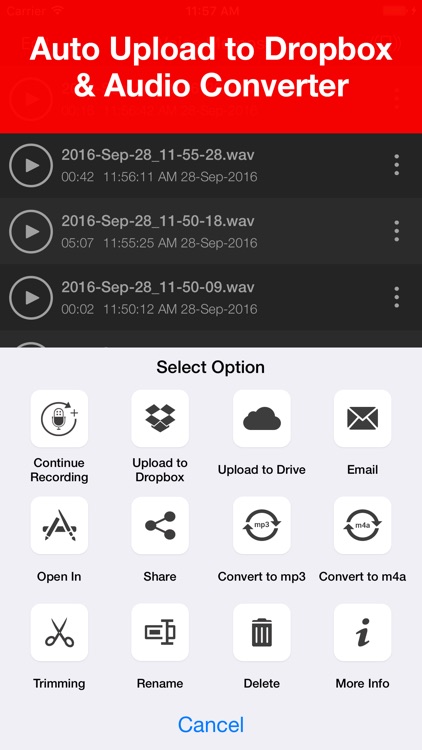 Voice Recorder Lite: Record HD