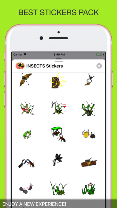 INSECTS Animal Stickers screenshot 3