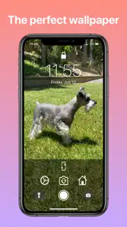 lockne: perfect wallpapers iphone screenshot 1