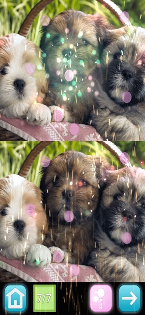 Pinky 2 - Find differences(圖1)-速報App