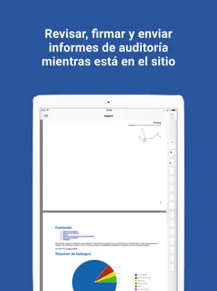 Screenshot 4 ESS Auditoría iphone