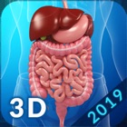 Top 38 Medical Apps Like My Digestive System Anatomy - Best Alternatives