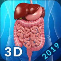 My Digestive System Anatomy pour PC