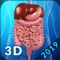 Digestive System Anatomy app for studying human Digestive System anatomy which allows you to rotate 360° , Zoom and move camera around a highly realistic 3D model