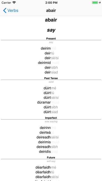 Irish Verb Blitz screenshot-5