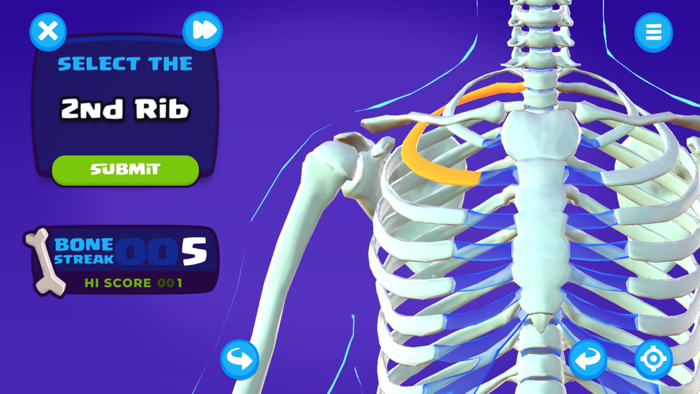 U.S. Army STARS Anatomy
