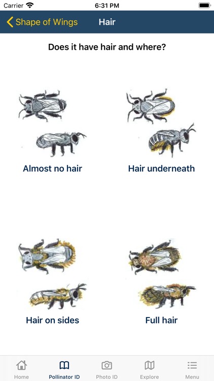 PolliNation ID screenshot-4