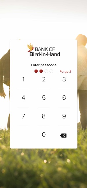 Bird in Hand Mobile(圖1)-速報App