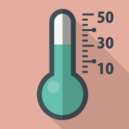 体感温度計