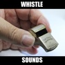 Get Whistle Sounds Effects! for iOS, iPhone, iPad Aso Report