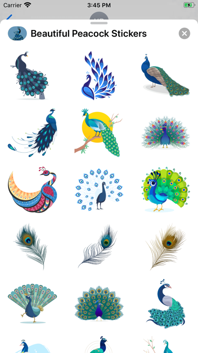 Beautiful Peacock Stickers screenshot 2