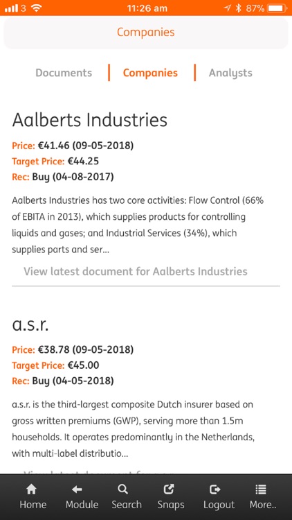 ING Global Research screenshot-3