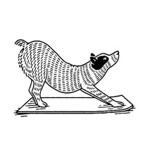 Find What Feels Good Yoga PC 용