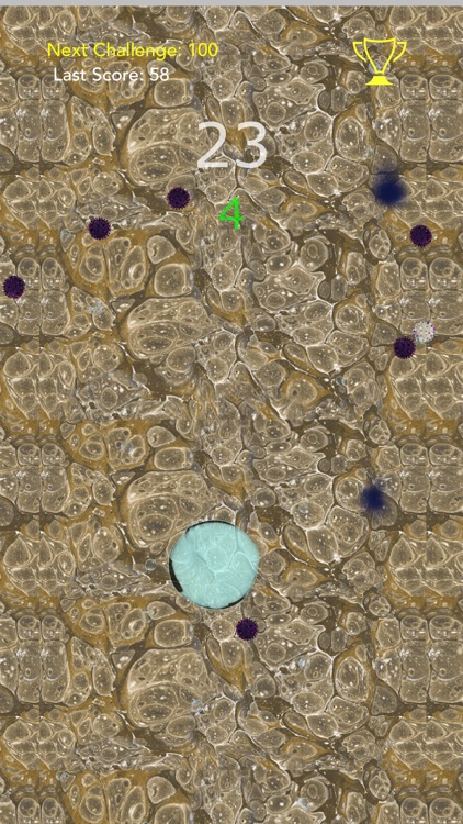 LifeBlob screenshot-4