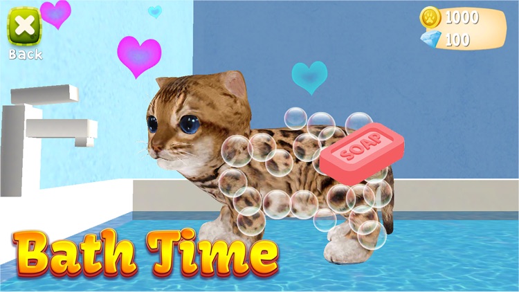 Cat Simulator: Kittens 2019 screenshot-3