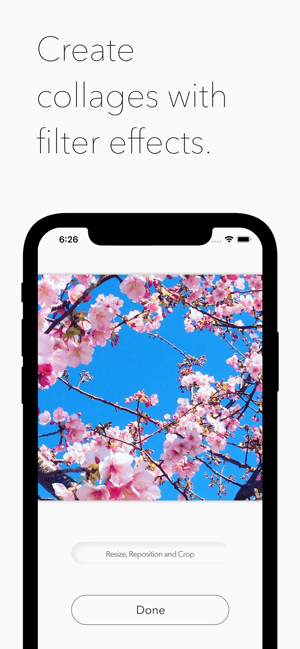 Filter Collage Maker(圖1)-速報App