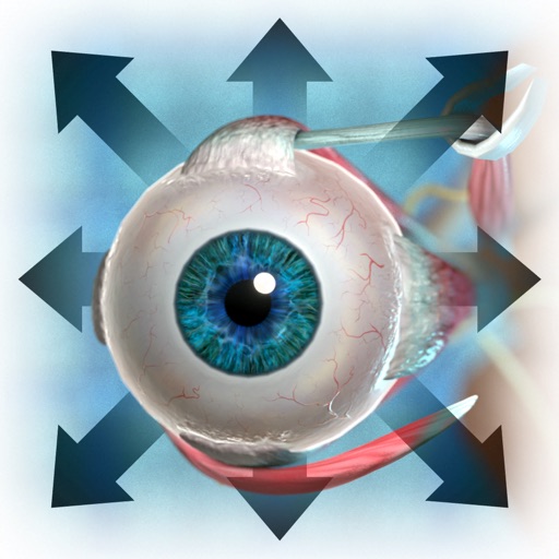 The Extraocular Muscles Icon