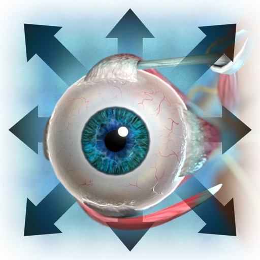 The Extraocular Muscles