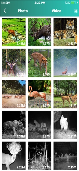 Trail Cam(圖2)-速報App