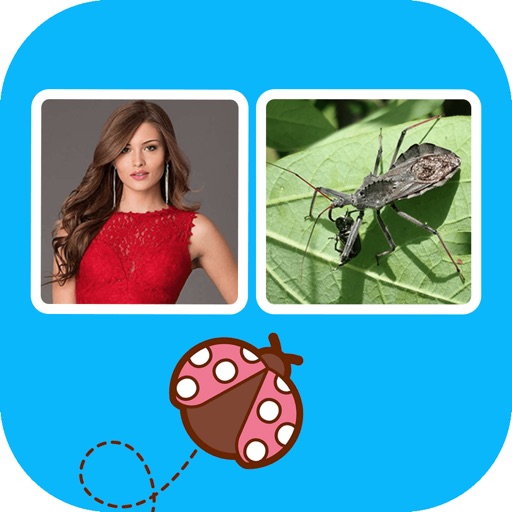 PictWord Quiz