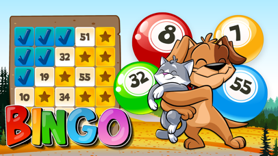 Bingo abradoodle free