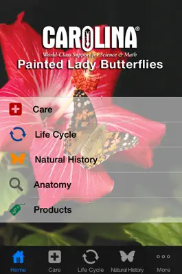 Game screenshot Painted Lady Butterflies mod apk