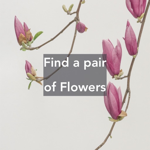 Find a pair of Flowers