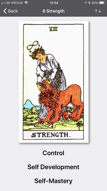 Tarot Journal