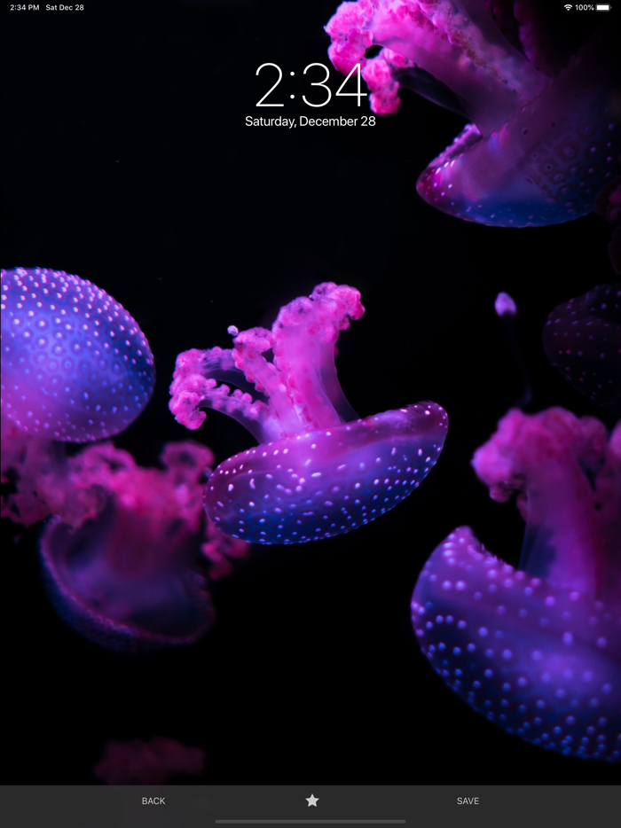 Black Wallpapers HD 4K